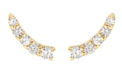 Blush Jewels 14K goud Oorbellen 7319YZI