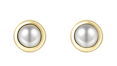 Gisser Jewels 925 Daily Essentials Oorbellen met zoetwaterparel E1001YWP