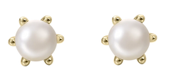 Gisser Jewels 925 Classic Oorbellen met zoetwaterparel SPE03YWP